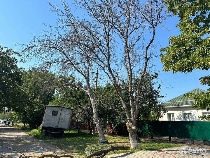 Спил и обрезка деревьев