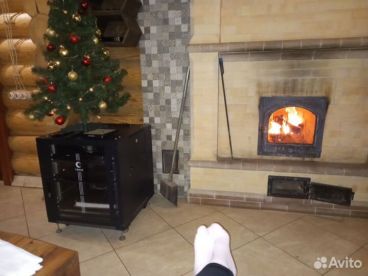 Цветы,растения комнатные