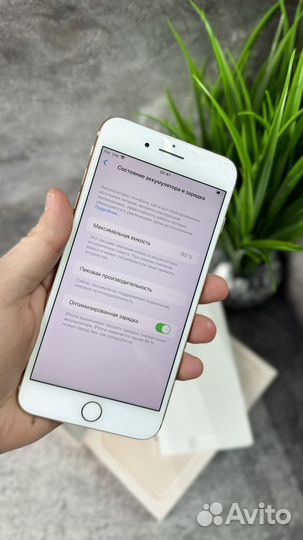 iPhone 8 Plus, 64 ГБ