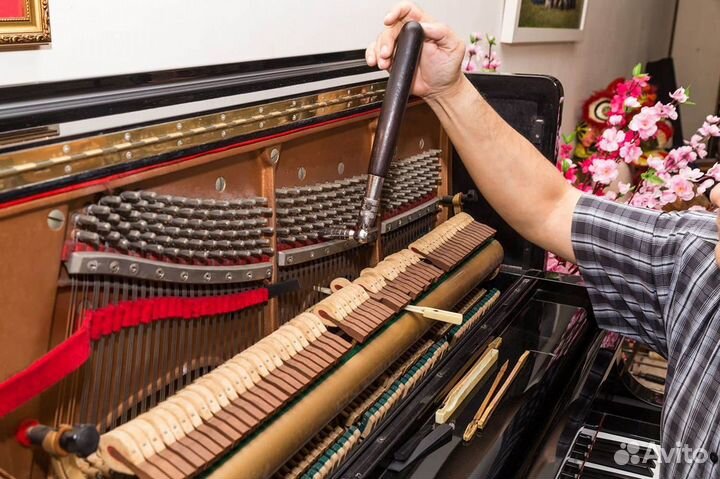 Настройка и ремонт пианино (фортепиано)