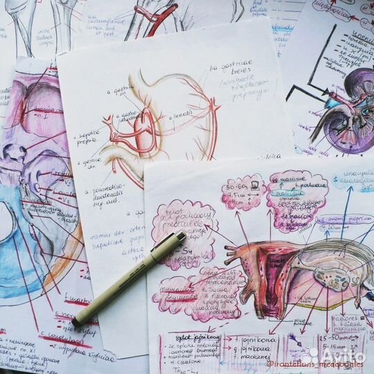 Репетитор по анатомии, физиологии, патофизиологии