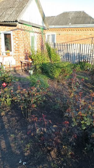 Дом 38,4 м² на участке 25 сот.