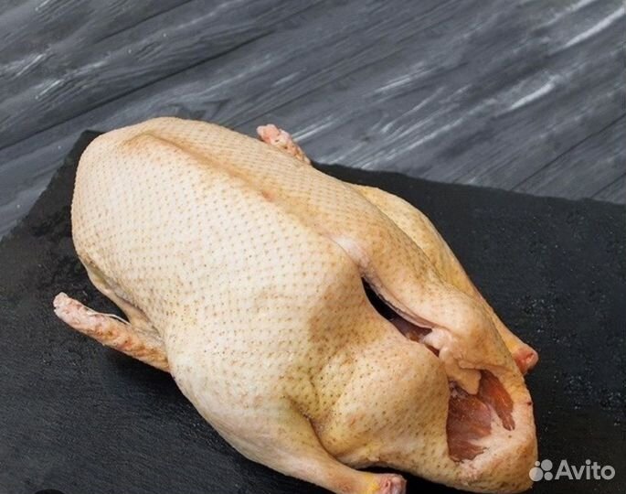 Утка домашняя мясо