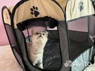 Домик для кошки и собаки