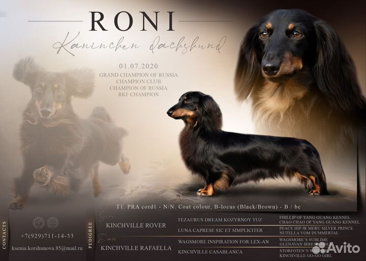 Вязка кабеля такса кроличья д/ш