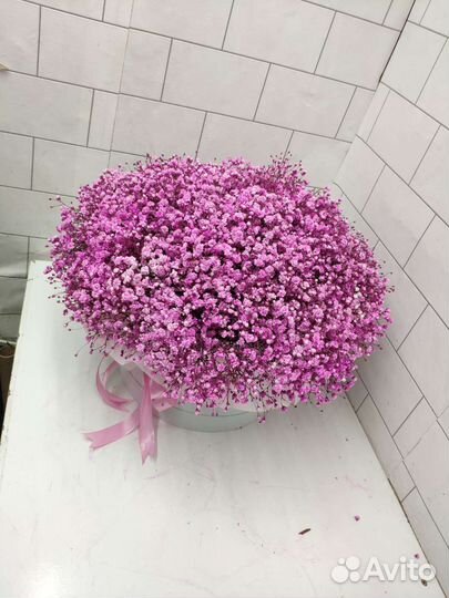 Гипсафилала букеты цветы розы