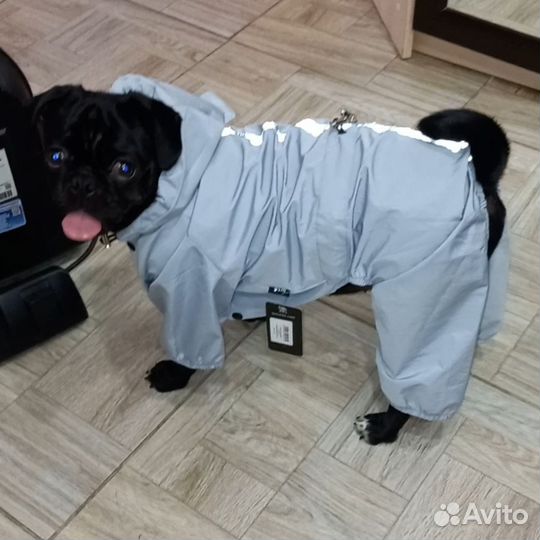 Дождевик для собаки