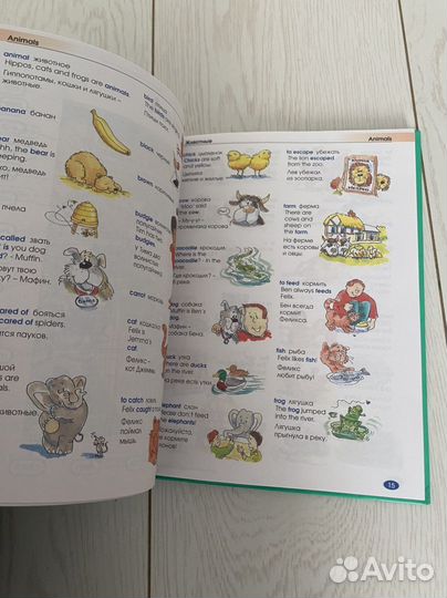 Англмйский язык. Словарь в картинках