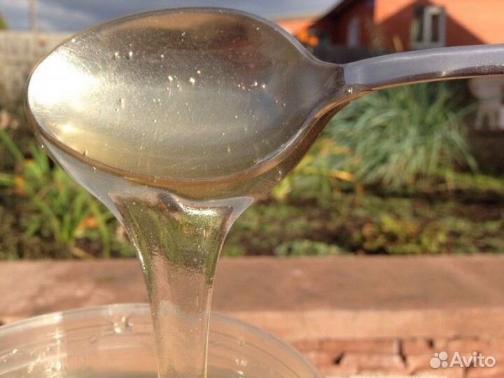 Донниковый мед оптом