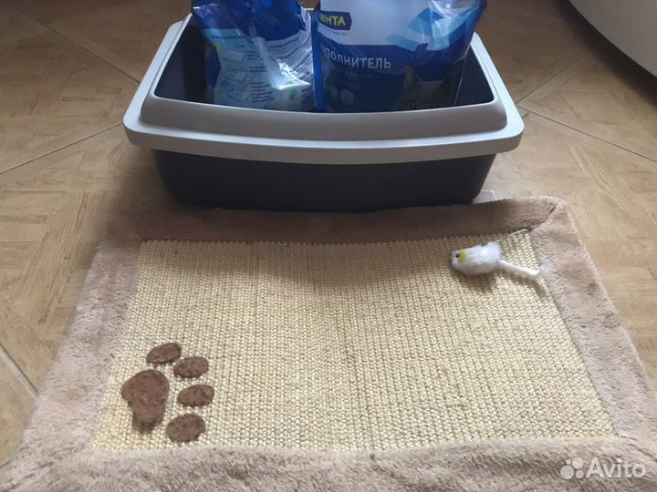 Лоток, Миска, когтерез