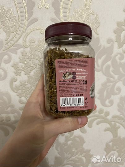 Мучной червь