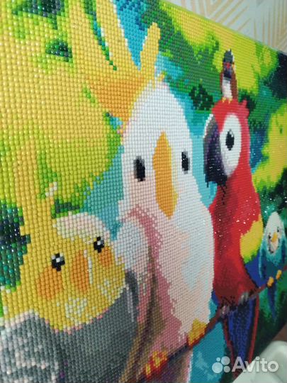 Готовая картина из страз Попугаи
