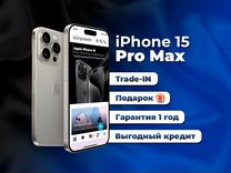 iPhone 15 Pro Max, 256 ГБ