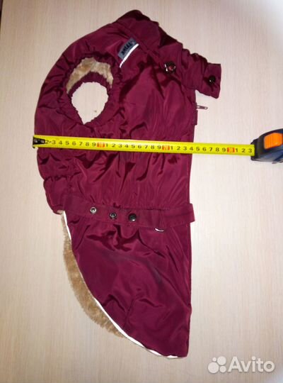 Жилет для собаки