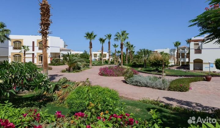 Тур в Египет из Петербурга на троих 7 ночей