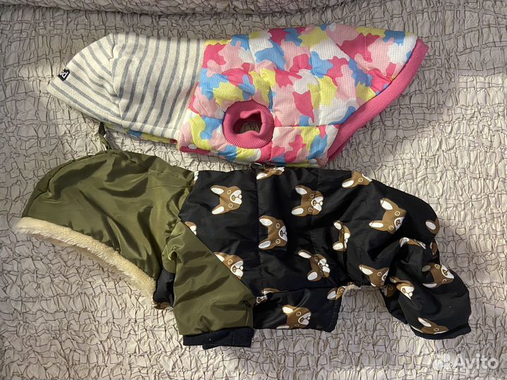 Комбинезон для собаки petmax