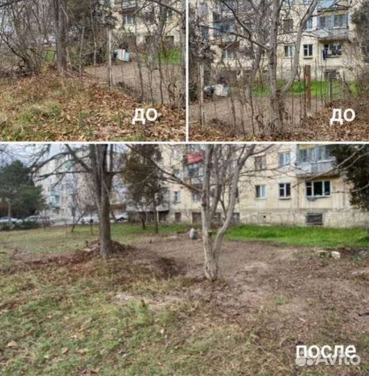 Покос травы, уборка участков