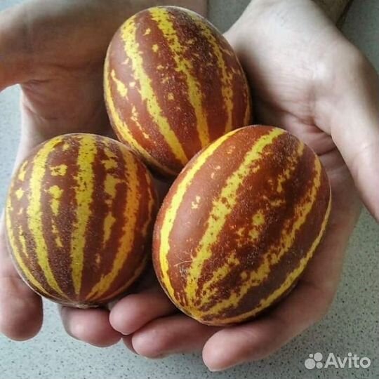 Семена ананасовой дыни,момордики