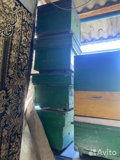 Улей для пчел бу