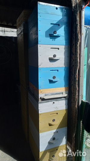 Ульи для пчел