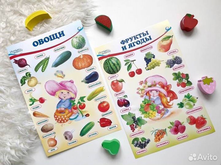 Набор развивающих мини плакатов