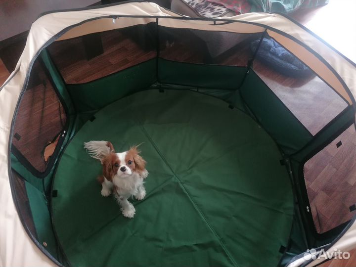 Вольер для собак