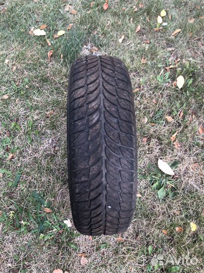 Accelera 651 175/65 R14 44G