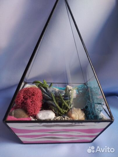 Флорариум с суккулентами