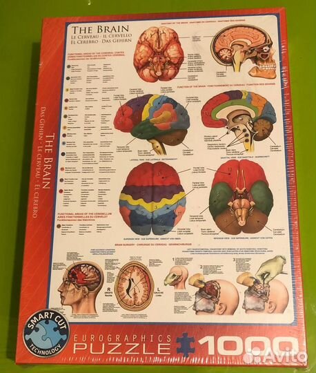 Пазлы eurographics