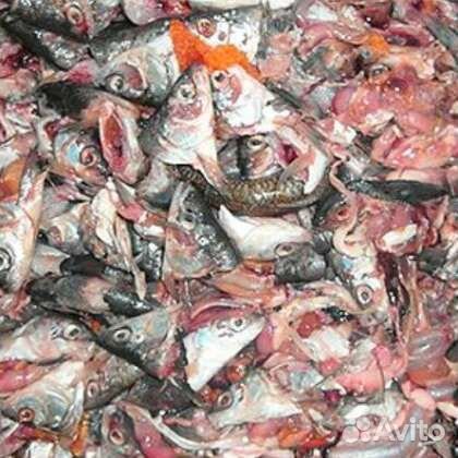 Корма для животных (рыбные отходы)