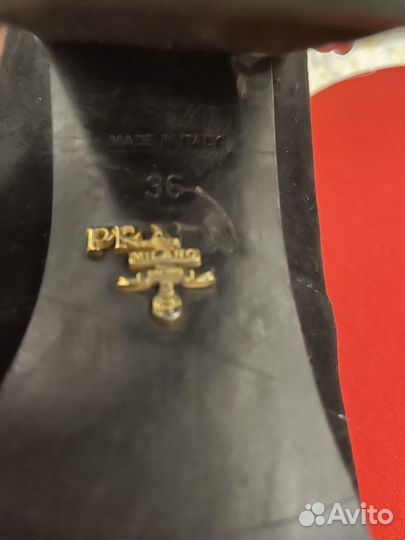 Сапоги женские демисезонные замшевые