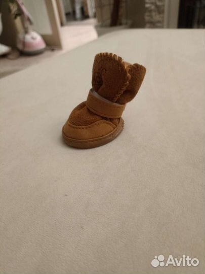 Обувь для маленьких собак