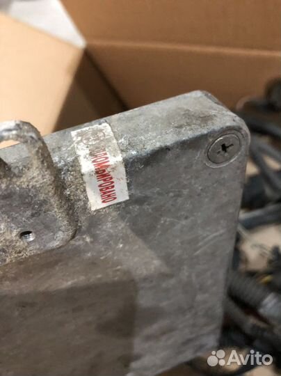 Эбу-мозги-коса-проводка