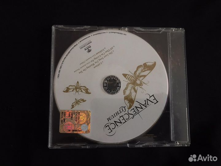 Evanescence — Lithium Single