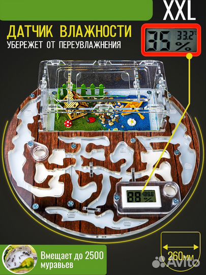 Муравьиная ферма Круглая Макси