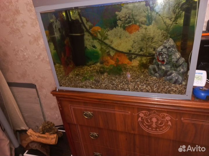 Аквариум 100л