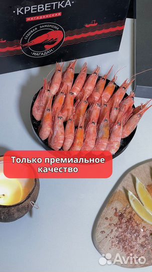 Креветка Северная опт