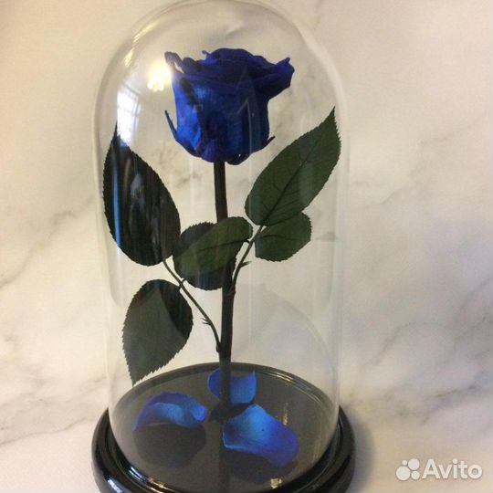 Роза в колбе 