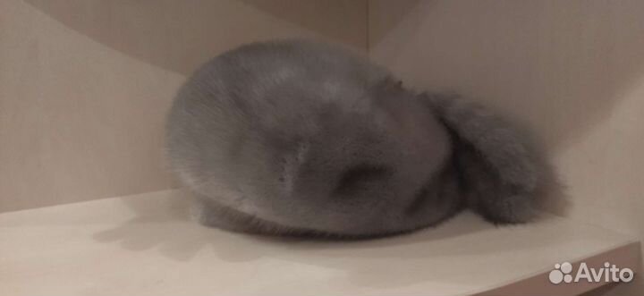 Женские меховые шапки