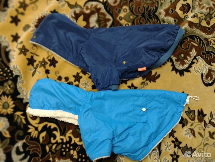 Одежда для собак