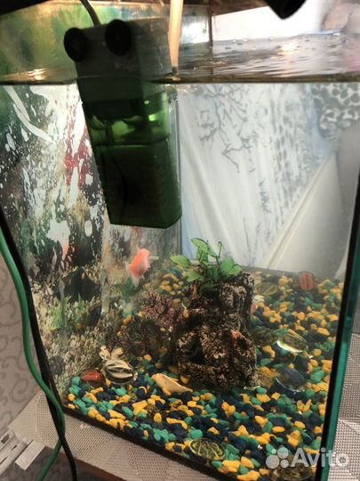Аквариум