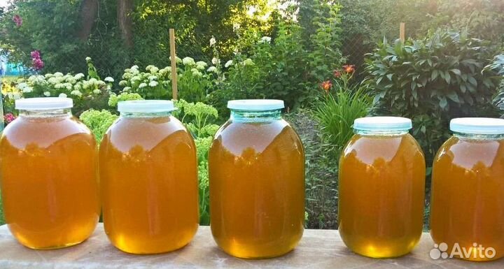 Мед цветочный