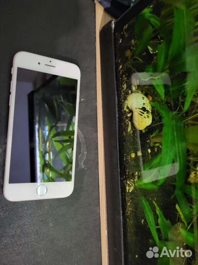 Телефон iPhone 6s