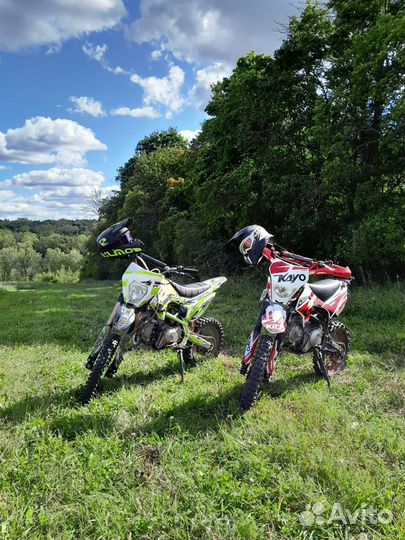 Питбайк motolend apex 125