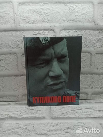 Куликово поле. Анатолий Куликов в зеркале сми