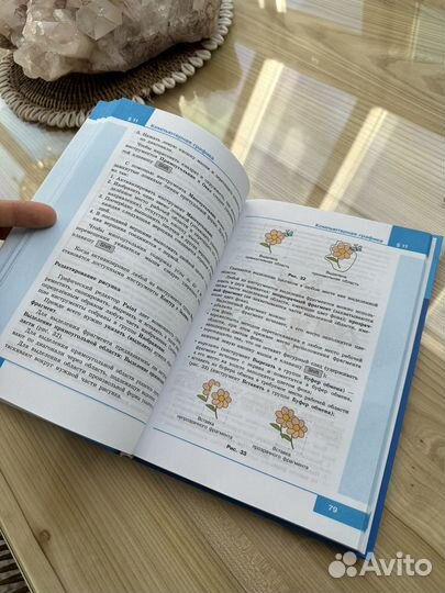 Учебник информатика 5 класс Босова