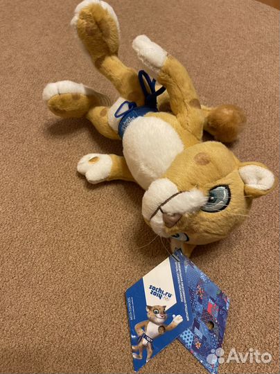 Олимпиада в сочи 2014