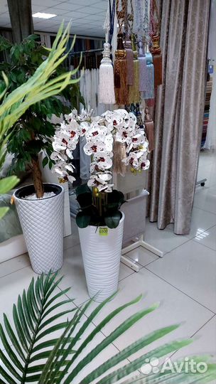 Декор для дома