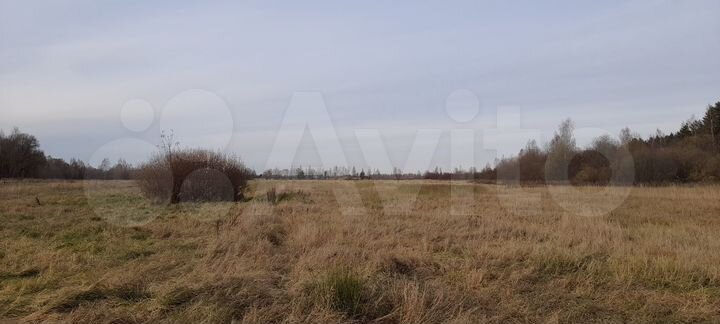 Участок 8 сот. (ИЖС)