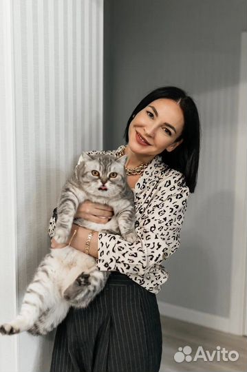 Репетитор английского языка для детей онлайн